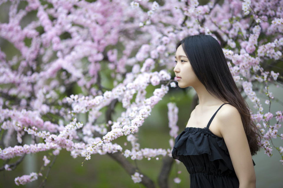 黑裙子落寞美女漫步花海中