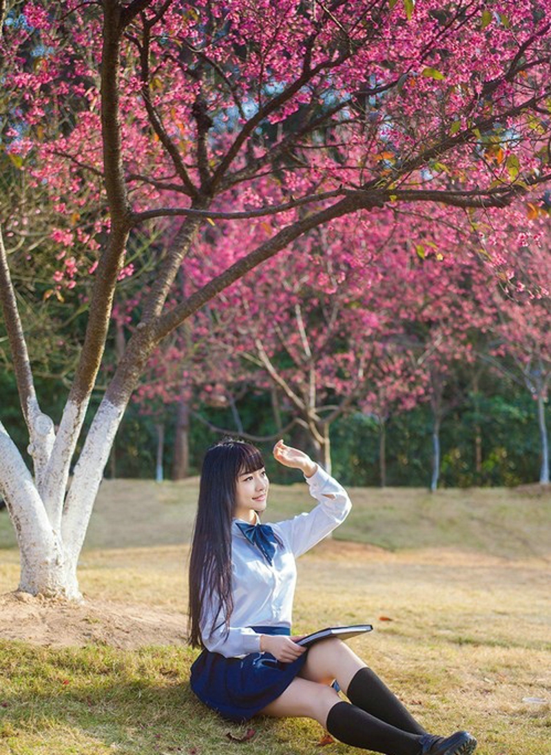 樱花树下的学生制服美女唯美清新