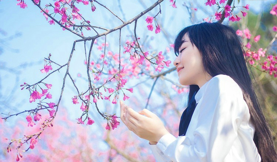 樱花树下的学生制服美女唯美清新