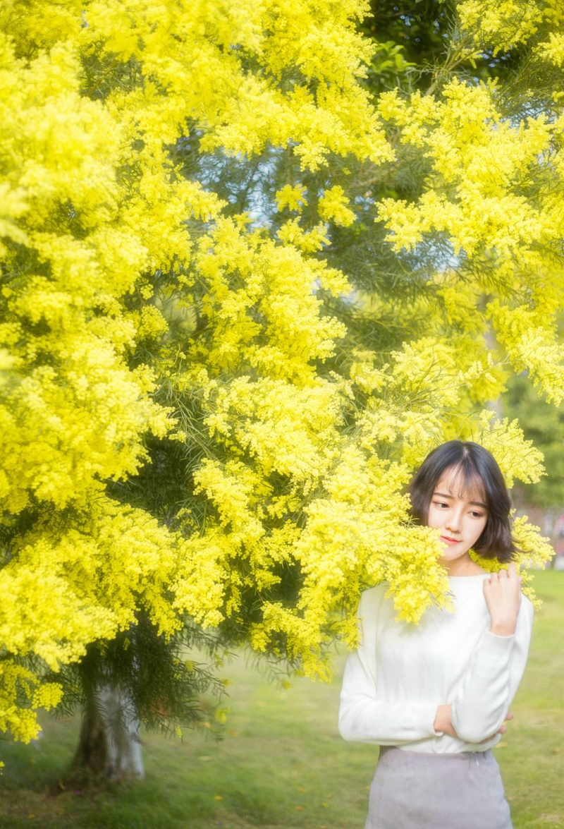 短发韩系女生野外温暖阳光唯美写真