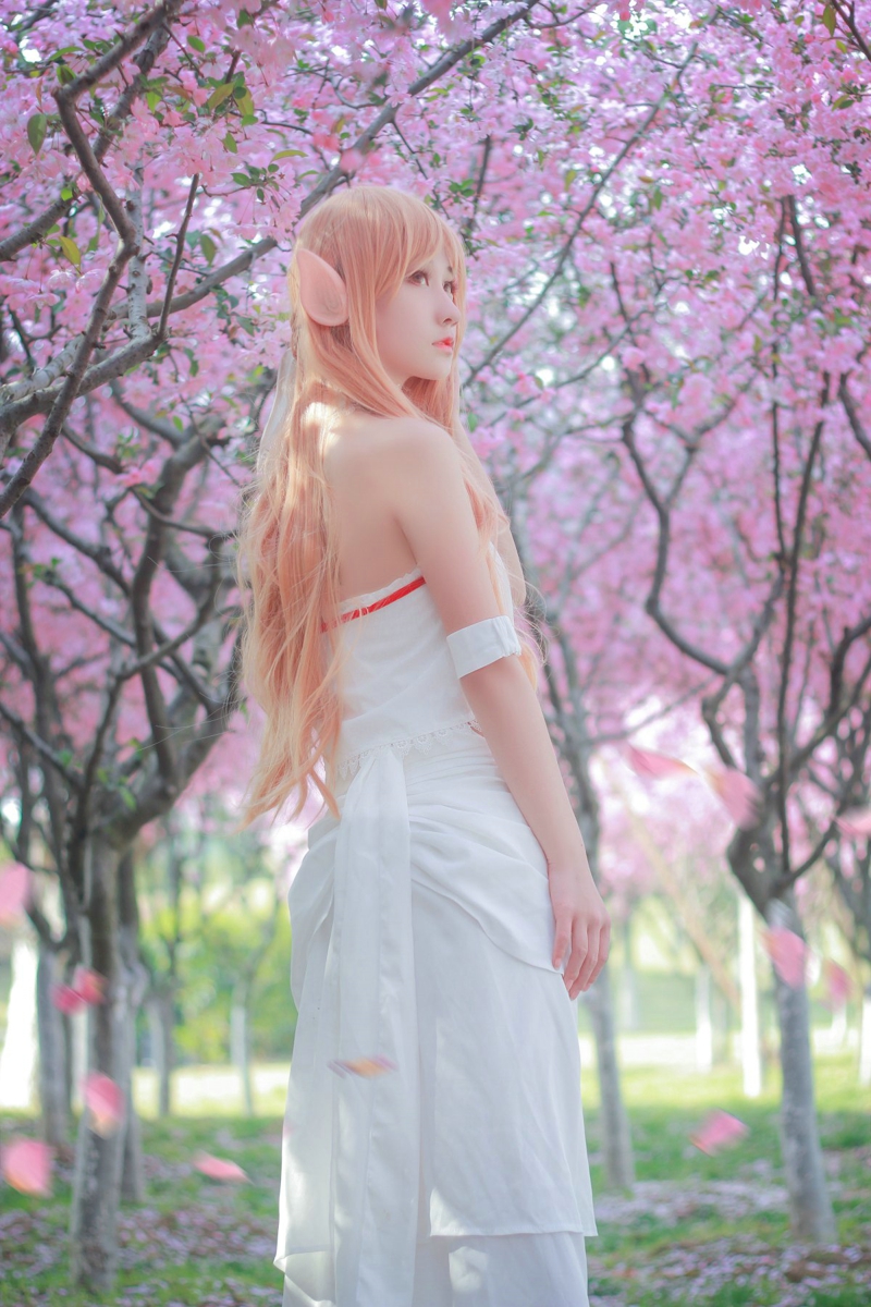 精灵女王亚丝娜结城明日奈囚鸟Cosplay秀