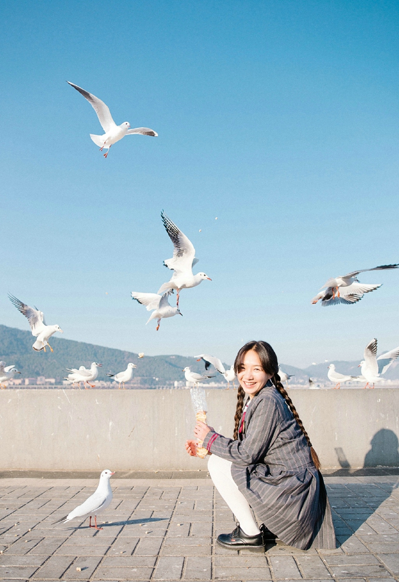 纯真妹子海边与海鸥的相遇青春可人