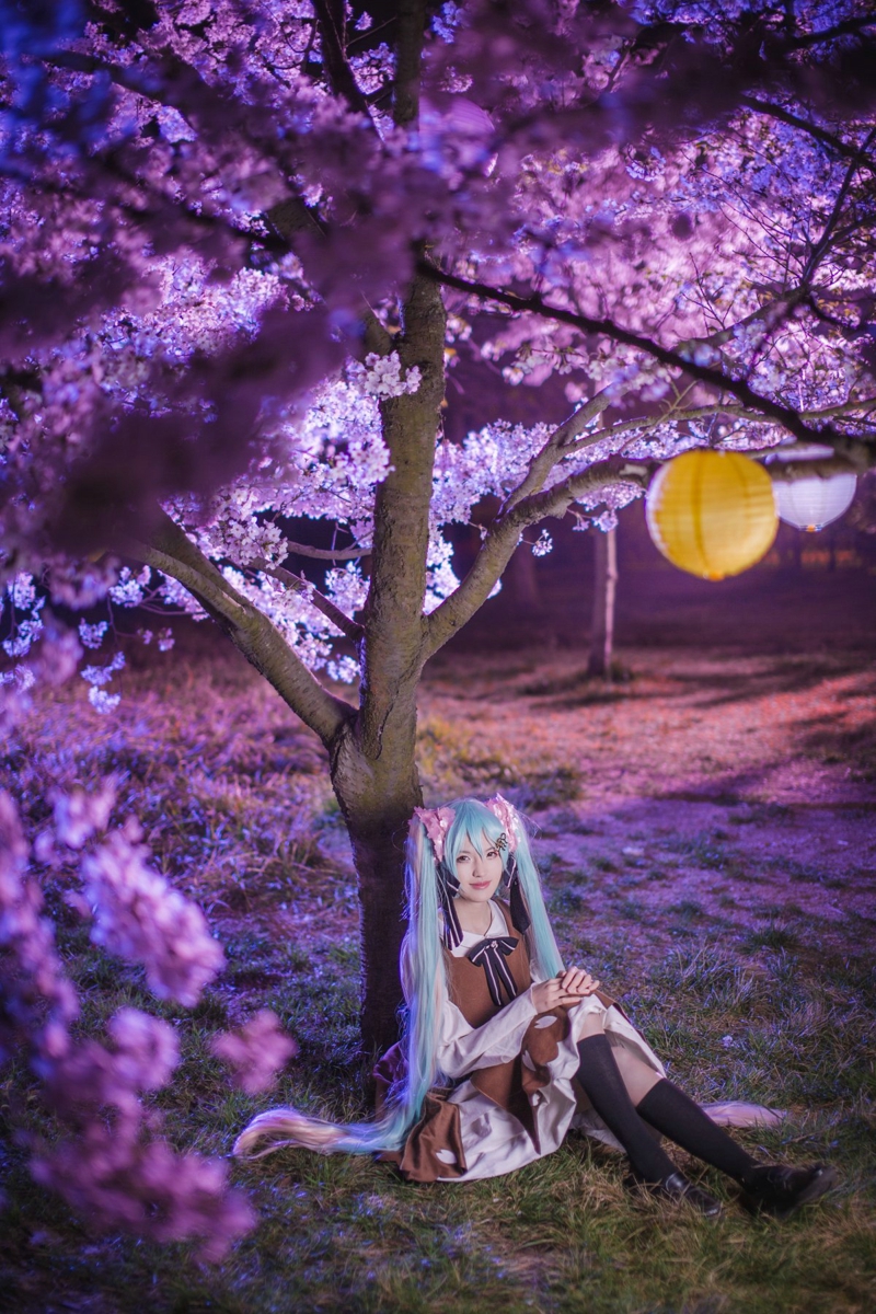 穿衣搭配樱花美女初音未来夜景主题cos