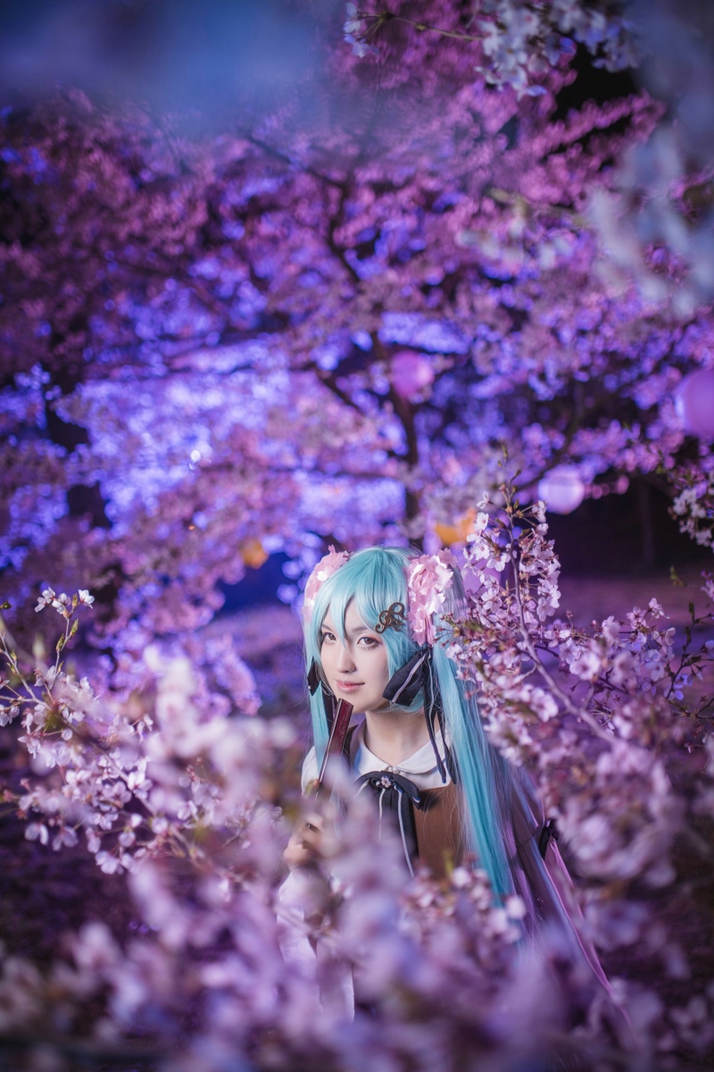 穿衣搭配樱花美女初音未来夜景主题cos