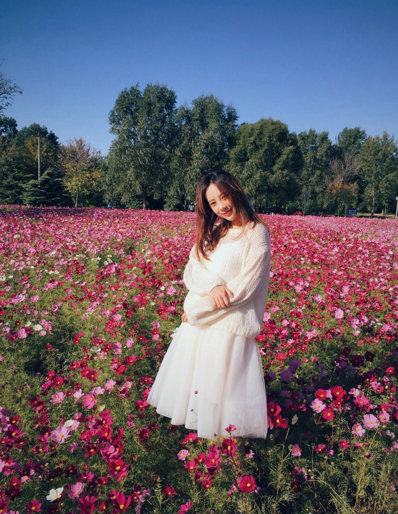 中分长发女神花海中迷人魅力