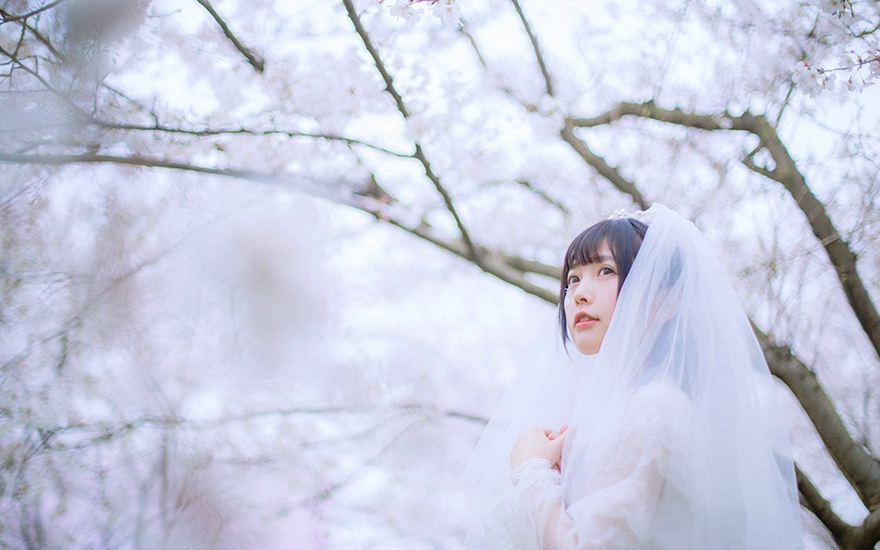 樱花树下的婚纱纯白懵懂迷人妹子