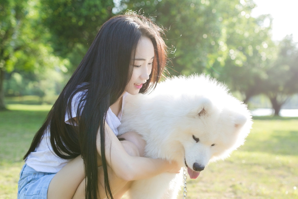 气质美女草地上与狗狗度过阳光午后