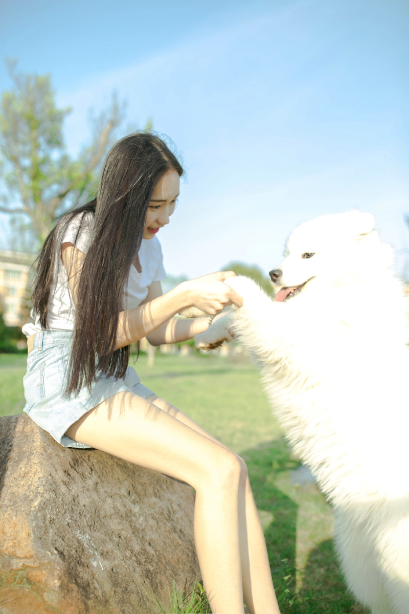 气质美女草地上与狗狗度过阳光午后