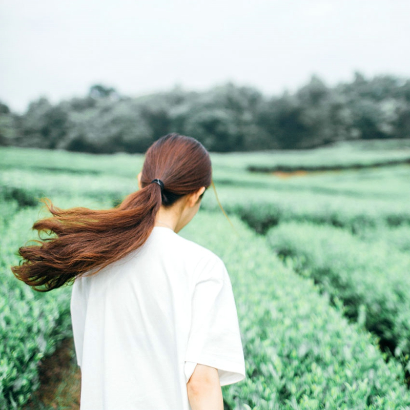 茶园内的清新马尾纯净甜美姑娘亮眼色彩