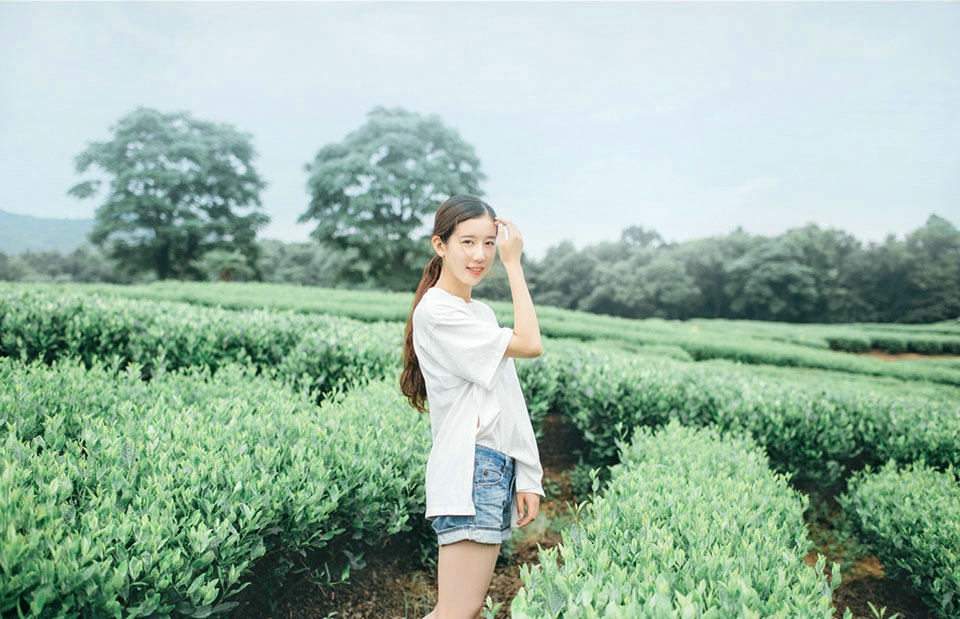 茶园内的清新马尾纯净甜美姑娘亮眼色彩