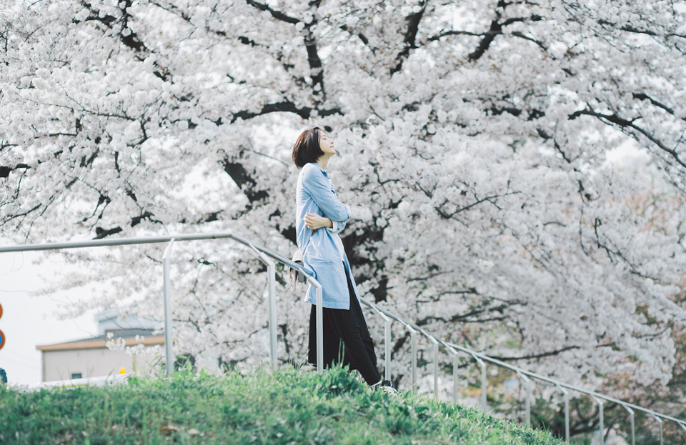 日系少女樱花树下唯美写真