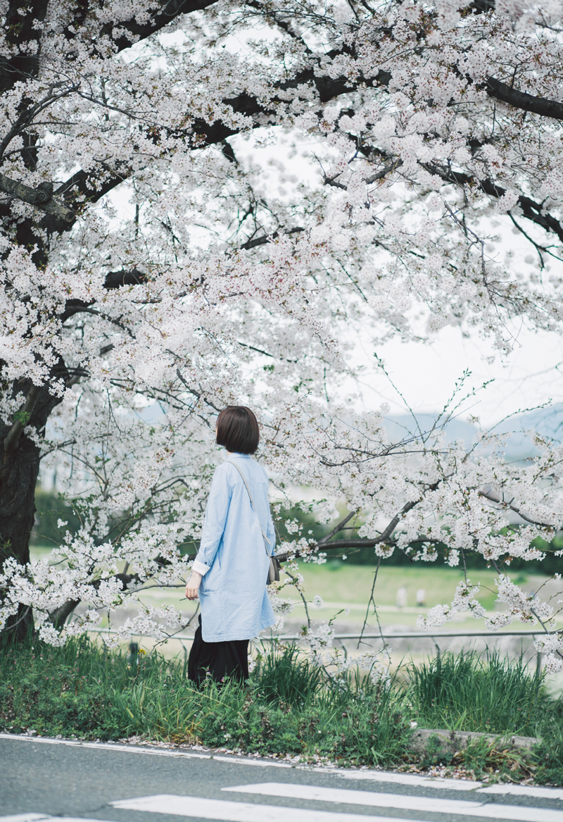 日系少女樱花树下唯美写真