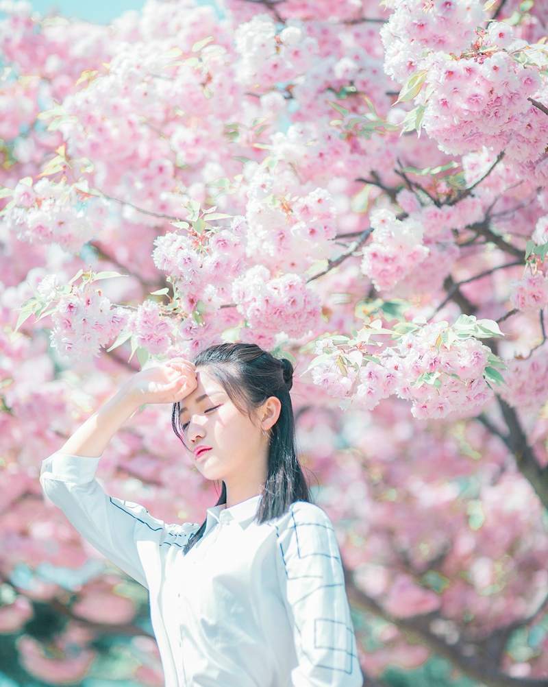 白皙眼镜少女鲜花树下优美写真清新淡雅