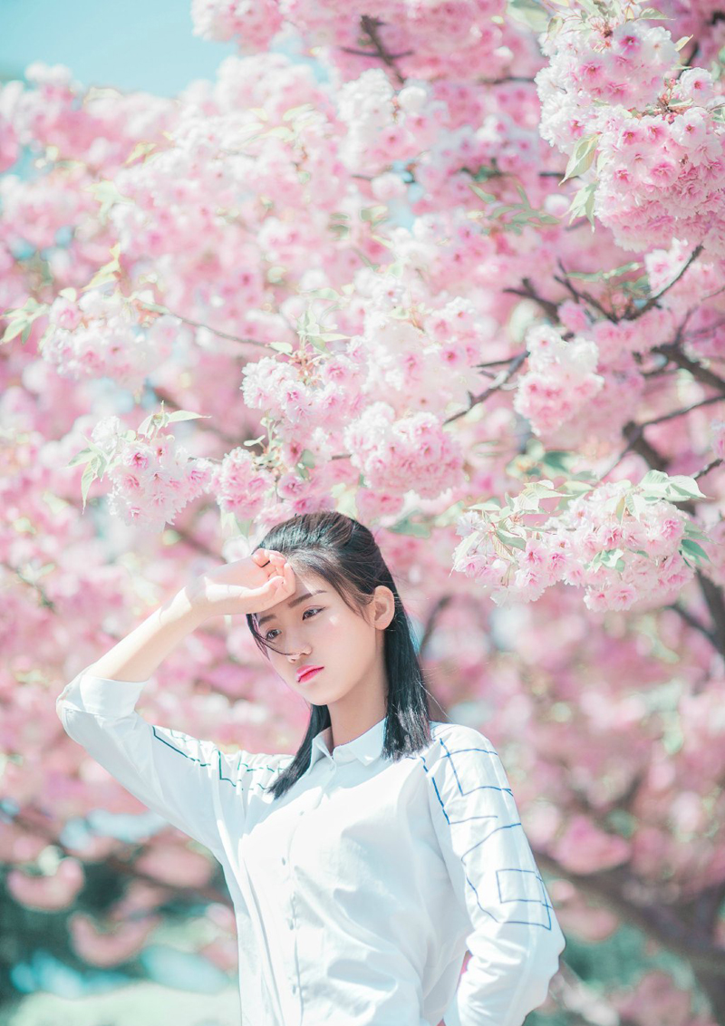 白皙眼镜少女鲜花树下优美写真清新淡雅