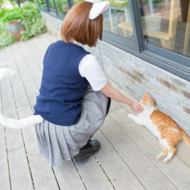 偶像大师灰姑娘女孩甜美可爱猫耳娘cosplay