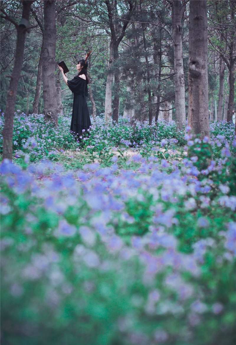 麋鹿少女薰衣草花海中优雅迷人