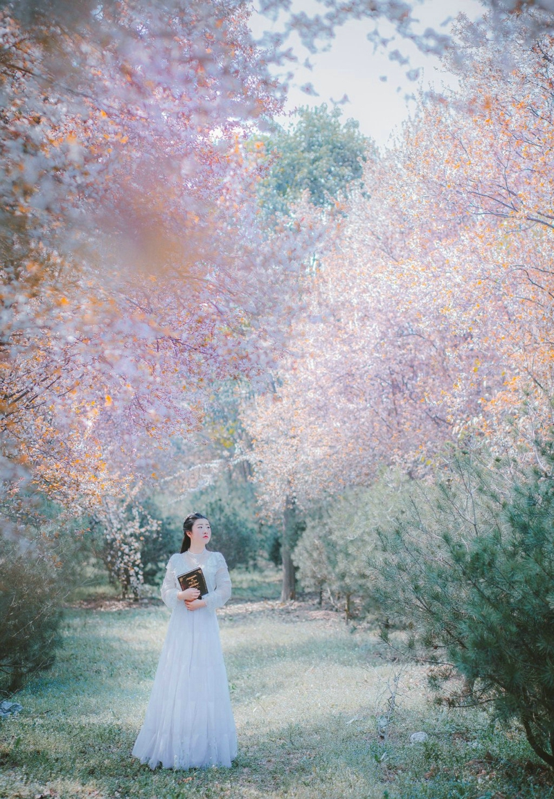 树林里蝴蝶仙子白纱裙轻盈美丽