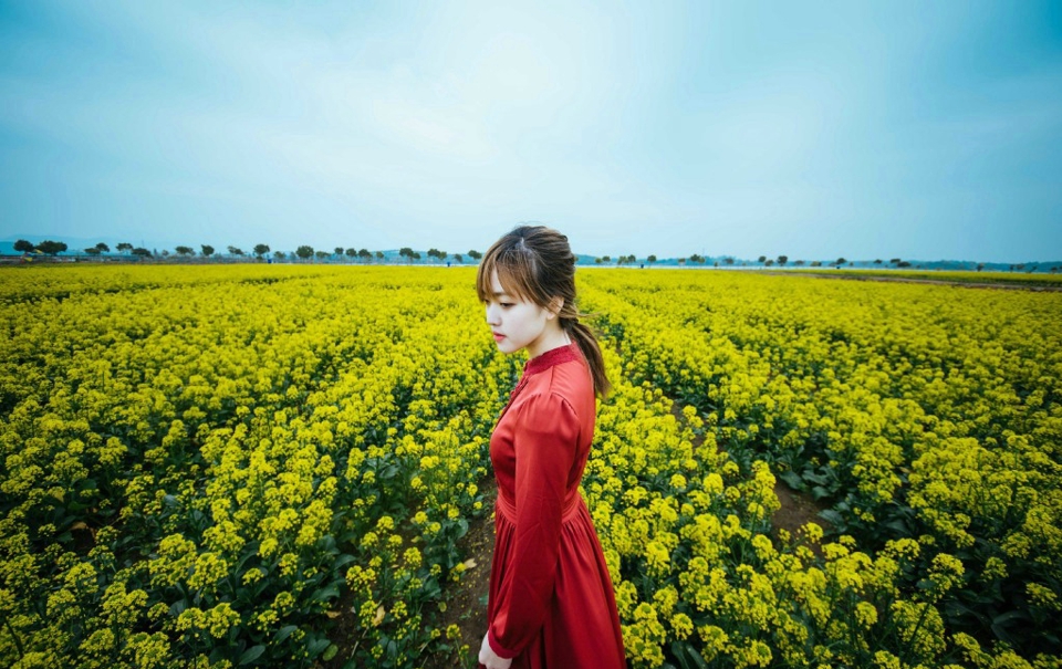 油菜花海中的红裙亮眼女神耀眼动人