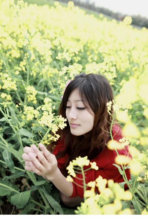 让人爱上的油菜花美女