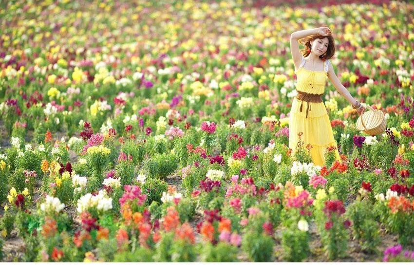 黄色连衣裙美女梦幻花海图片