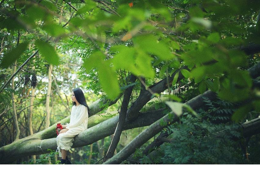 惹火MM梦幻迷人暮光写真