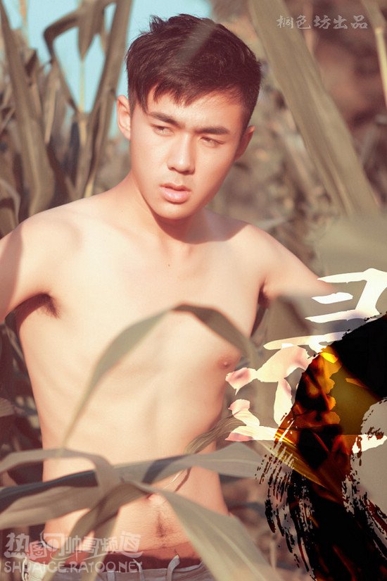 中国男模裸上半身艺术写真图片6张