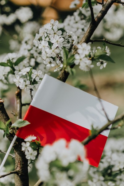 波兰国旗的图片(12张)