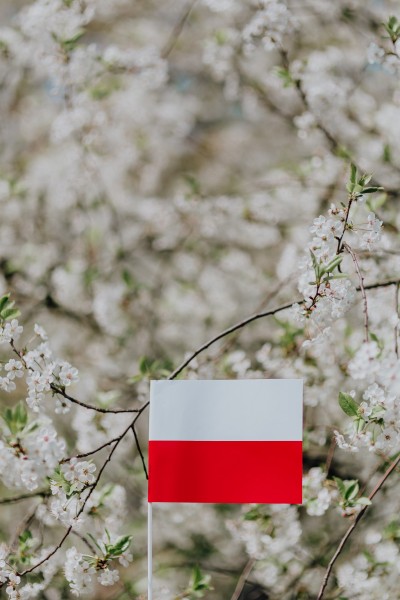 波兰国旗的图片(12张)