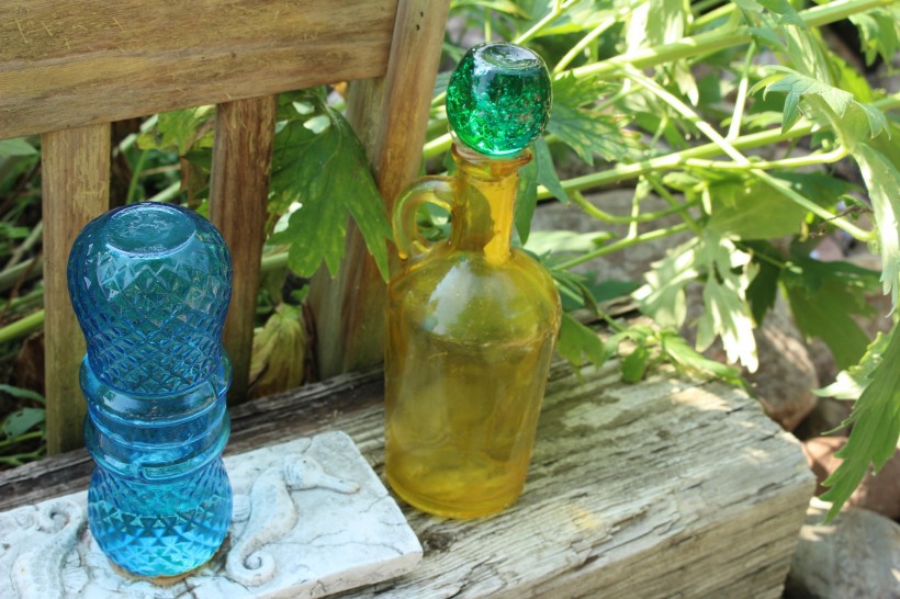 清新的玻璃瓶与花图片(11张)