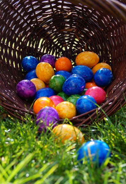 彩色的鸡蛋高清图片(15张)