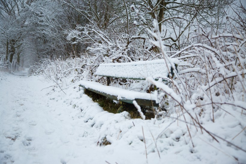 雪后公园长椅图片(20张)
