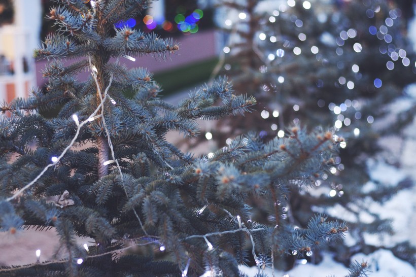 装饰精美的圣诞树图片(14张)