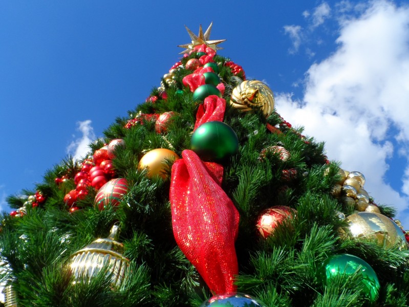 装饰精美的圣诞树图片(11张)