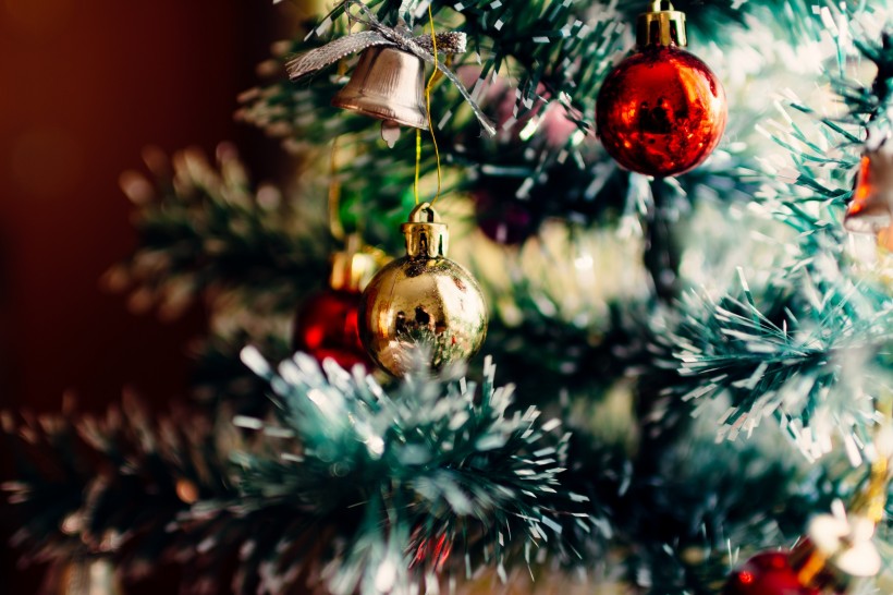 装饰精美的圣诞树图片(14张)