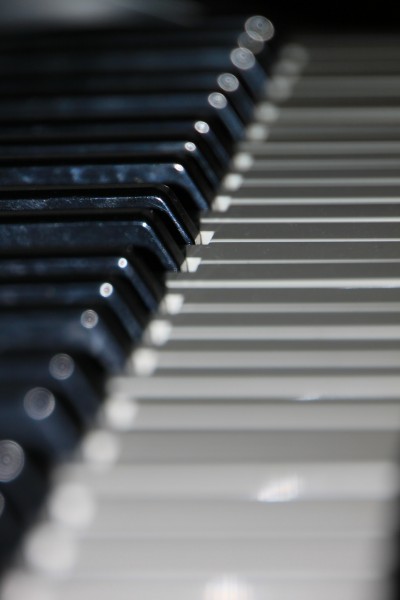 钢琴的黑白键盘图片(10张)