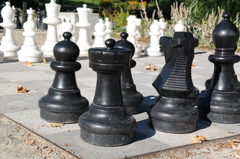 有趣的国际象棋图片 (16张)