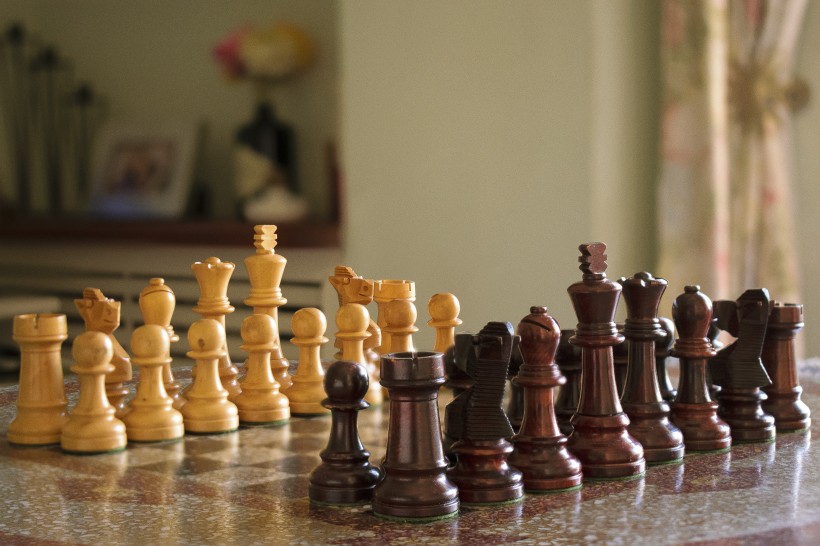 有趣的国际象棋图片 (16张)