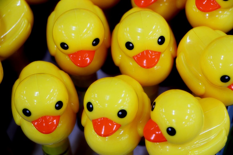 黄色塑料的玩具鸭图片(15张)