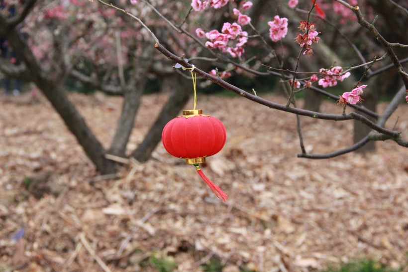 红色的灯笼图片(11张)