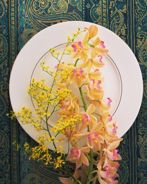 用花卉装饰盘子的艺术摄影图片(17张)
