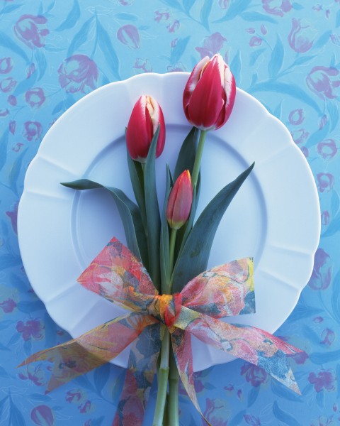用花卉装饰盘子的艺术摄影图片(17张)
