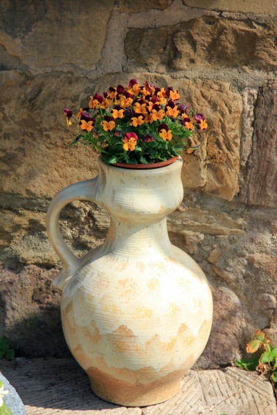 插满鲜花的花瓶图片(16张)