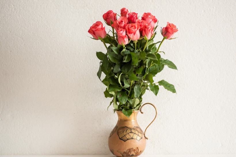 插满鲜花的花瓶图片(16张)