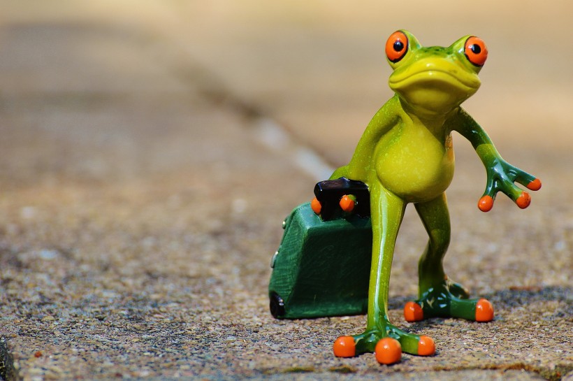 可爱的青蛙玩具图片(12张)
