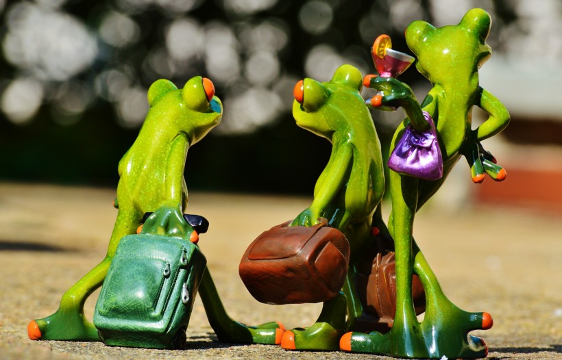 可爱的青蛙玩具图片(12张)