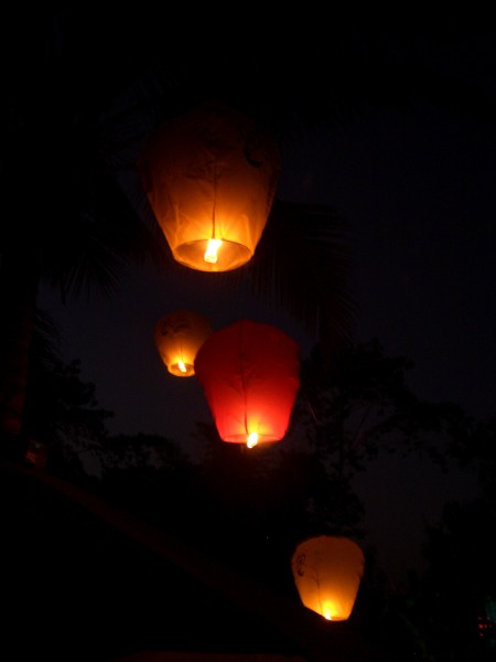 夜空中孔明灯图片(12张)