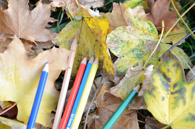 落叶上的彩色铅笔图片(9张)