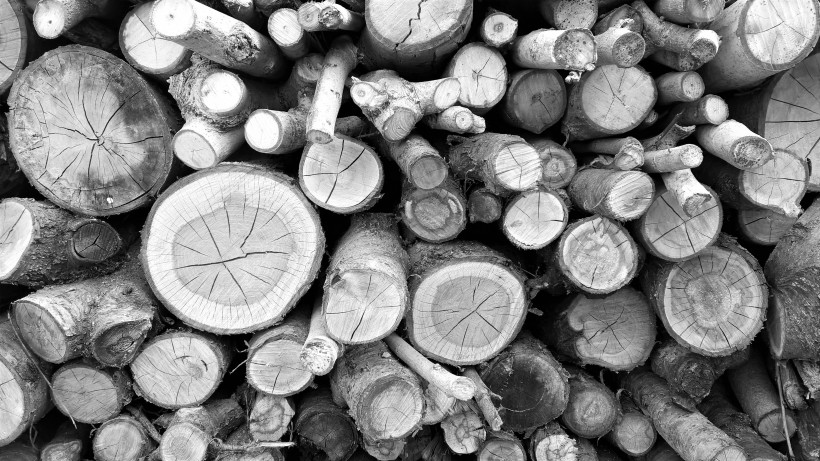 被切割好的木材图片(16张)