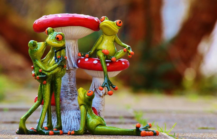 有趣的青蛙情侣摆件图片(13张)