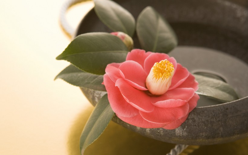 日本新年饰物图片(28张)
